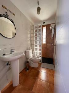 弗龙特拉Casa Valentina El Hierro的一间带水槽、卫生间和镜子的浴室