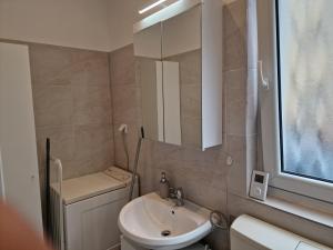 伍珀塔尔Apartment Wuppertal Heckinghausen的一间带水槽、卫生间和镜子的浴室