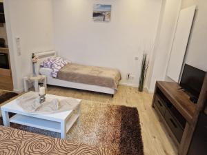 伍珀塔尔Apartment Wuppertal Heckinghausen的小型客厅配有床和电视
