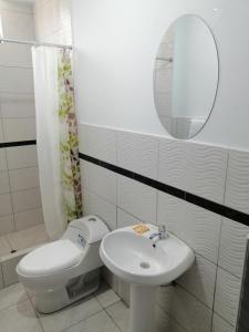 纳斯卡Alemar's House的一间带卫生间、水槽和镜子的浴室