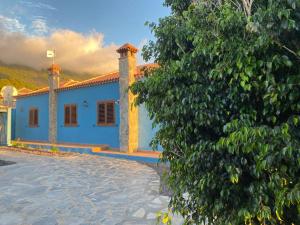 埃尔帕索Mirador Azul的前面有一棵树的蓝色房子