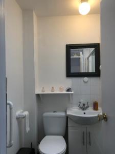切尔滕纳姆Comfy 2 bedroom house, newly refurbished, self catering, free parking, walking distance to Cheltenham town centre的一间带卫生间、水槽和镜子的浴室