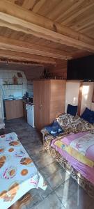 ManiowyDomek pod lasem的带两张床的房间和厨房