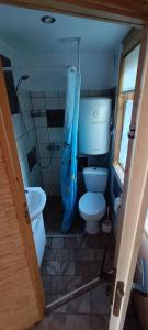 ManiowyDomek pod lasem的一间带卫生间和水槽的小浴室