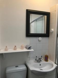 切尔滕纳姆Comfy 2 bedroom house, newly refurbished, self catering, free parking, walking distance to Cheltenham town centre的一间带水槽、卫生间和镜子的浴室