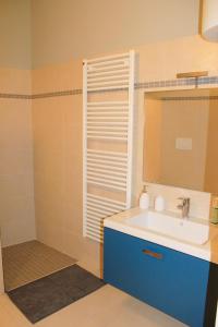 维罗纳维起亚威戈纳住宿加早餐旅馆的一间带水槽、镜子和淋浴的浴室