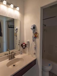 特罗皮克Bryce Trails Bed and Breakfast的一间带水槽、镜子和卫生间的浴室