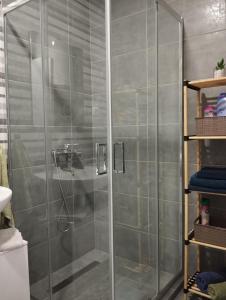 斯雷姆斯卡米特罗维察Apartman Green!!的浴室里设有玻璃门淋浴