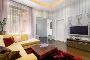 布达佩斯Chrysoprase Apartment的带沙发和电视的客厅