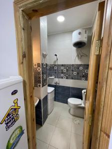 达哈布لوتس ١١٦的一间带卫生间和水槽的小浴室