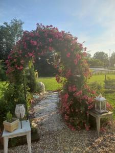 Villanova dʼAstiLa Boheme的一座种植了粉红色花卉的花园