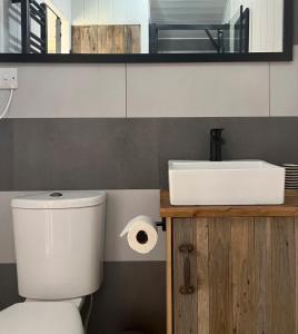 基德灵顿Shepherds Huts的浴室配有白色卫生间和盥洗盆。