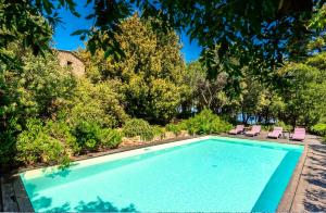 里奥马里纳Experience Relais " Il Termine Elba "的一个带2把躺椅和树木的游泳池