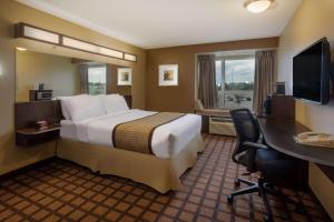 蒂明斯蒂明斯温德姆麦克罗特套房酒店的配有一张床和一张书桌的酒店客房