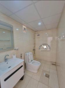 瓦迪拉姆White Desert Camp的浴室配有白色卫生间和盥洗盆。