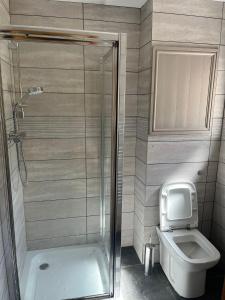 BrattonCountry View Lodge的带淋浴和卫生间的小浴室