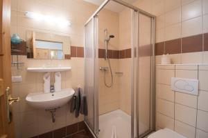 弗拉绍布里姆公寓的带淋浴和盥洗盆的浴室