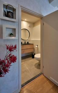 RheezerveenZEN-bungalow no 6 met sauna en hottub的一间带卫生间和水槽的浴室