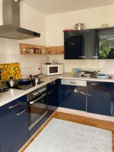 蒂蒂湖-新城Am Birkenhain的厨房配有蓝色橱柜和白色家电