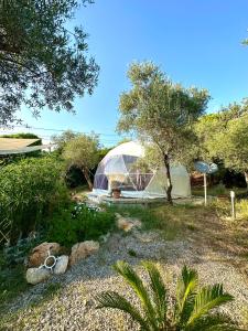 伊特里Glamping Domes San Martino的树田里的圆顶帐篷