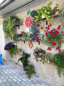 库塔伊西House of greenery的墙上有很多花和植物