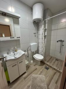 索科矿泉村Villa Ronić的浴室配有卫生间、盥洗盆和淋浴。