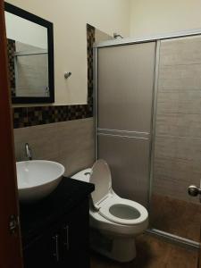 马尼萨莱斯Hostal Zaguán Caldense的浴室配有卫生间、盥洗盆和淋浴。