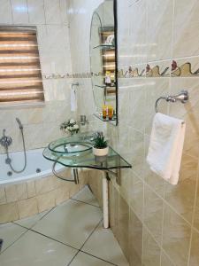 帕拉博鲁瓦Kalaji C-Rane Lodge的一间带玻璃水槽和浴缸的浴室