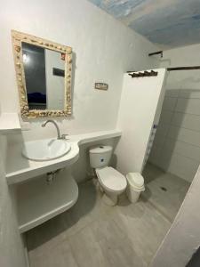 RincónHostal Coral Blue的一间带卫生间、水槽和镜子的浴室