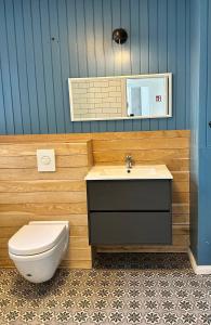 雷克雅未克塞姆公寓式酒店的一间带水槽、卫生间和镜子的浴室