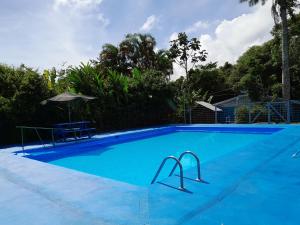 图里亚尔瓦Cabañas el Bosque的一个带桌子和遮阳伞的大型蓝色游泳池