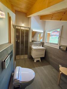 纳特斯Chalet Matterhornsicht的一间带卫生间和水槽的浴室