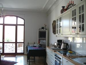 菲德勒别墅公寓的厨房或小厨房