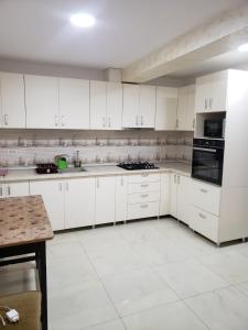 古拉哈莫卢洛伊Casa Nicoleta的白色的厨房配有白色橱柜和电器
