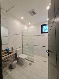 阿哈达فيلا جبل لبنان الهدا的一间带卫生间和玻璃淋浴间的浴室