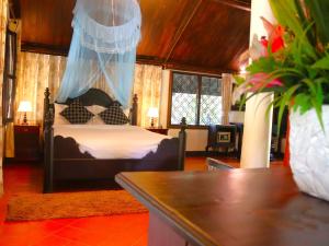 琅勃拉邦Namkhan View Luangprabang Resort的一间卧室配有一张带蚊帐的床