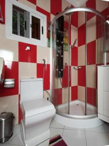 Agbata Guest House的红色和白色的浴室设有卫生间和淋浴。
