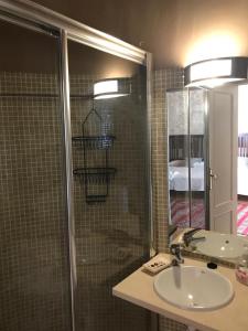 奥苏纳Viña Zarzarrosa Osuna的带淋浴、盥洗盆和镜子的浴室