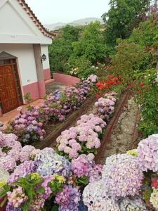 贝加德圣马特奥Mar de flores的一座房子前面的鲜花花园
