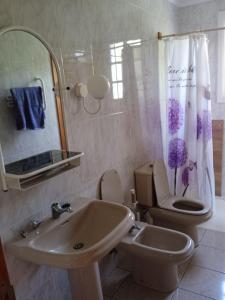 贝加德圣马特奥Mar de flores的一间带水槽、卫生间和镜子的浴室
