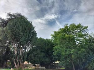 圣迈克桑莱科勒Logement entier pour 6 personnes的公园里一群树,长着长凳