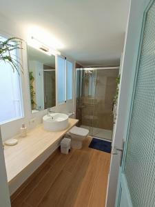 拉拉古纳San Benito 16的一间带水槽、卫生间和淋浴的浴室