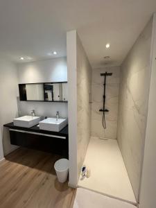 蒙斯Charmant appartement au look design的一间带两个盥洗盆和淋浴的浴室