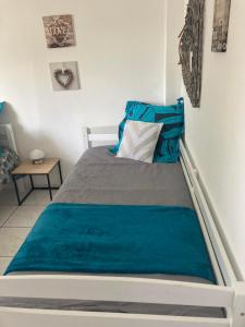 圣若瑟La Caz Anaïs avec jacuzzi的一间卧室配有一张带蓝色毯子的床