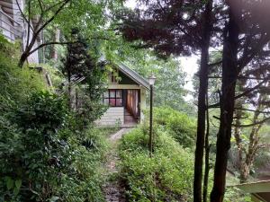 AritarCardamom Blues的树林中的房屋,有通往房屋的路径