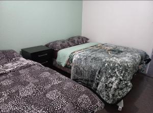 帕帕莫阿Papamoa Budget Accommodation的配有两张床的客房内。