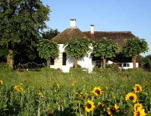 WaardenburgWaerdenhoeve的一座白色的房子,上面有向日葵