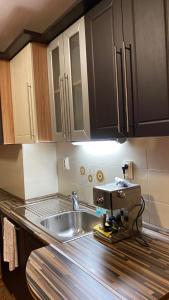 代温Eda Aparts的厨房配有水槽和台面上的搅拌机