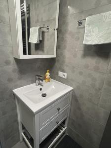BuzăuVulcan Apartment的浴室设有白色水槽和镜子