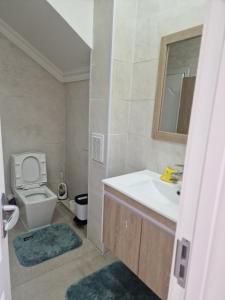 乌兰巴托Deegii's house的一间带水槽和卫生间的浴室